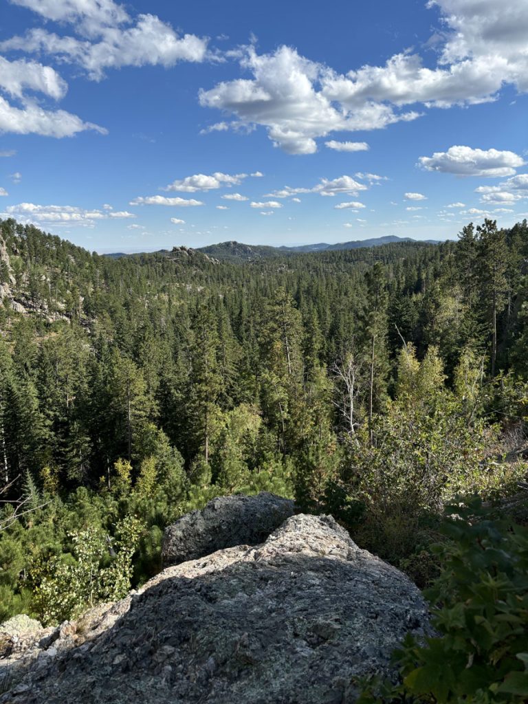 cathedral-spires-16 View of Custer State Park