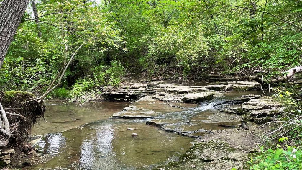Wyandotte County Lake Loop Stroll